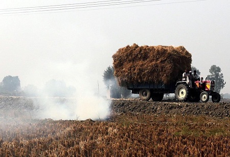 Power plants may be proclaimed to use stubble in fuel mix